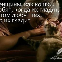 ����, �����-���������, 55 ���