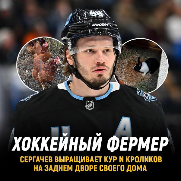 Сергачев разводит кур и кроликов на заднем.дворе. У Миши 17 кур, которые несут по 10-11яиц в день О ...