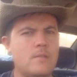 �������, ������, 37 ���