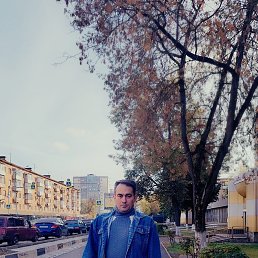 , 52, 