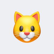 ���������, 29 ���, ������