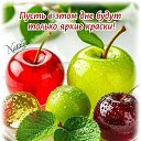 ���� �������, ������ - ��������� 7 ������ 2026 � ������ ������ ��������