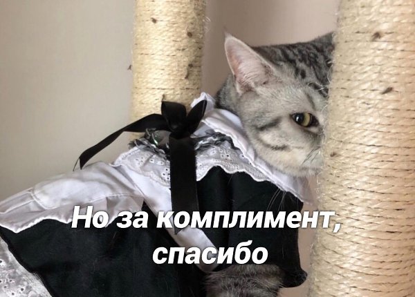  ) - 3