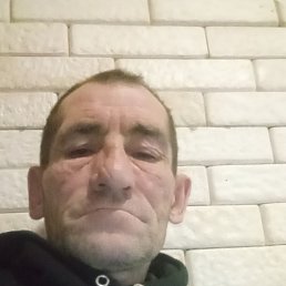 , 48, 