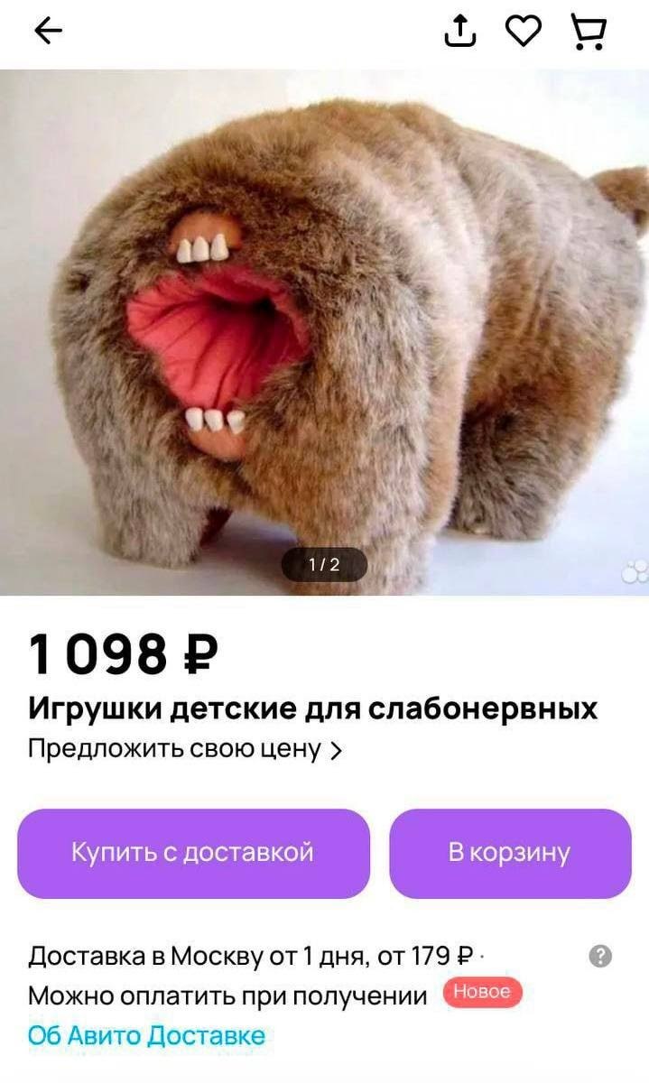  - 5  2023  21:11