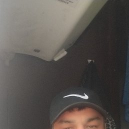 ����, 41 ���, ��������