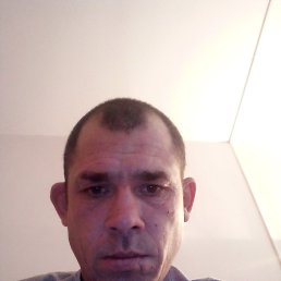 , 37, 