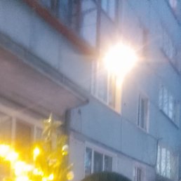 ���� ������, �������, 55 ��� - ��������� 5 ������ 2026