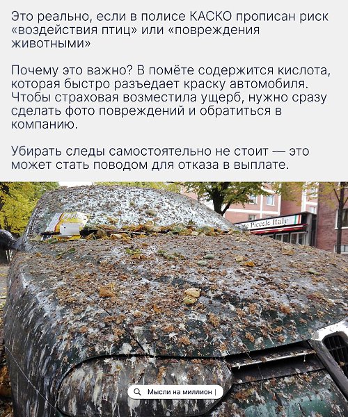 Даже такая мелочь, как «птичий автограф», может вылиться в крупный ремонт.Проверяйте свой полис ... - 2