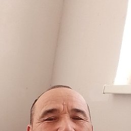 , 36, 