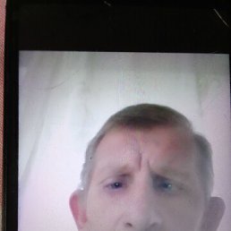 , 48, 