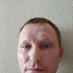 ������, 39 ���, ������