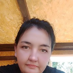 , 33, 