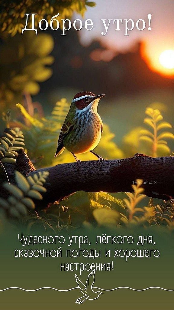   ,    . - 20  2025  07:53 - 8