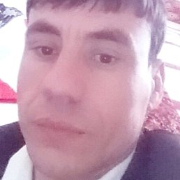 , 34, 