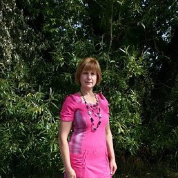, 56, 