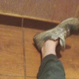 ���� ����, �����������, 37 ��� - ��������� 17 ���� 2025