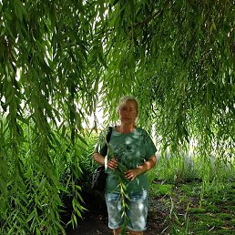 ����, ����, 52 ����