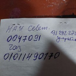 �������, �������, 42 ����