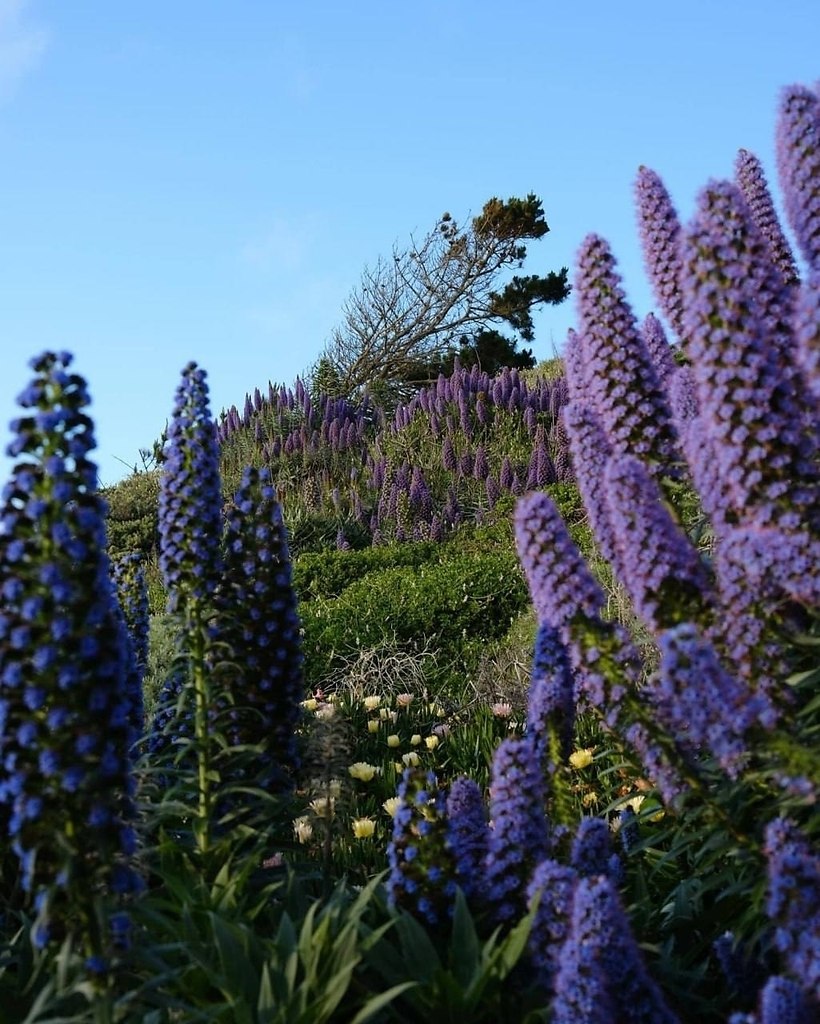 Как красиво - 2