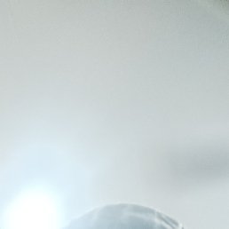 ����, ������, 39 ���