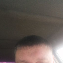 ���� ������, ������ ��������, 44 ���� - ��������� 1 ��� 2025