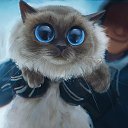 ���� Mikle, ������, 31 ��� - ��������� 19 ��� 2026 � ������ ���� ����������