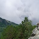  , , 55  -  5  2024     2024