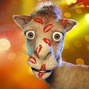 ���� ������, �����-��������� - ��������� 31 ������� 2025 � ������ ������ ��������