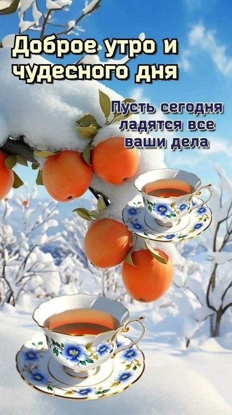   ,    . - 13  2024  22:17 - 3