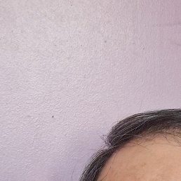 ������� ��������, �����-���������, 64 ����