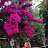 ���� Helen, ������, 40 ��� - ��������� 26 ���� 2026