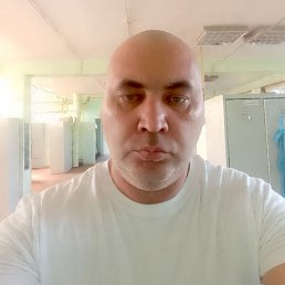 , 41, 