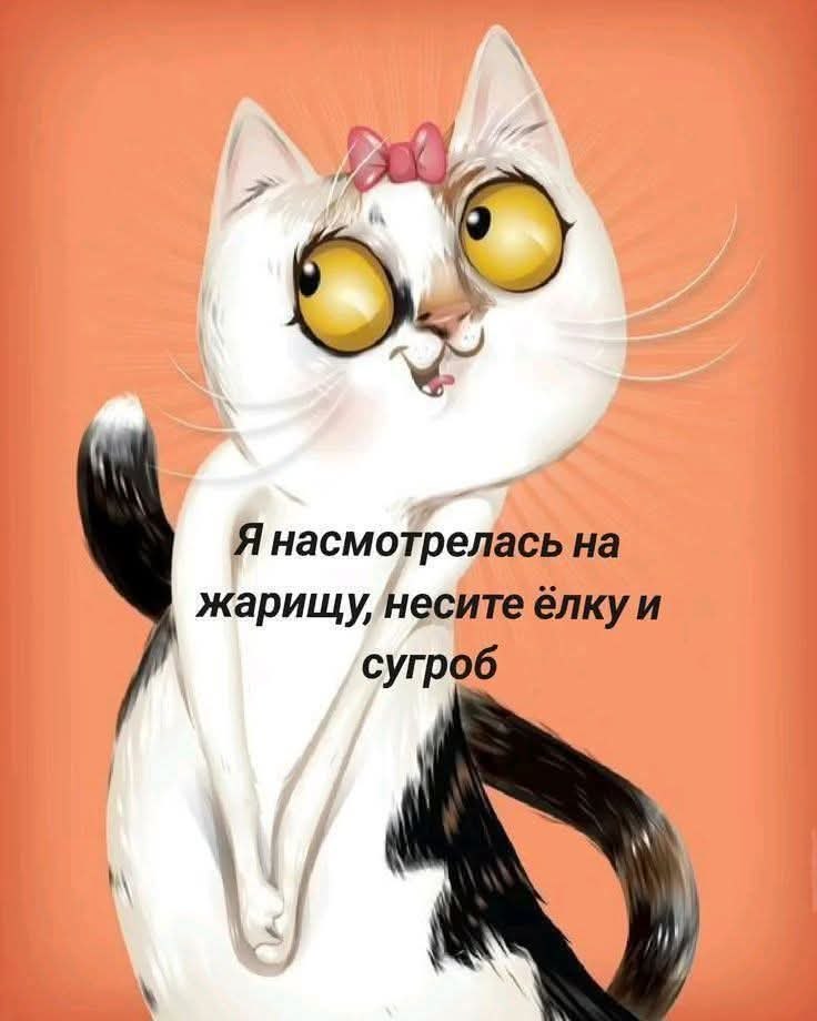   - 27  2025  08:28