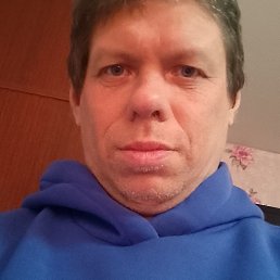 ������, 41 ���, �����