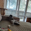 ���� Hrustbk, ������, 106 ��� - ��������� 24 ������� 2025 � ������ ���� ����������