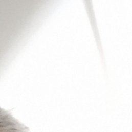 Фото Кузьма Лихачёв, Москва, 53 года Кузьма Лихачёв, Москва, 53 года