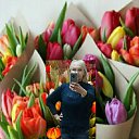 ���� ����, ������, 57 ��� - ��������� 9 ����� 2025 � ������ ���� ����������