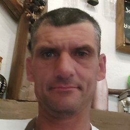 �������, �������, 48 ���