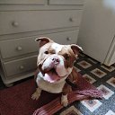 ���� Zeus, ������, 44 ���� - ��������� 13 ������ 2025