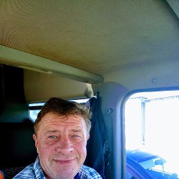 , 54, 