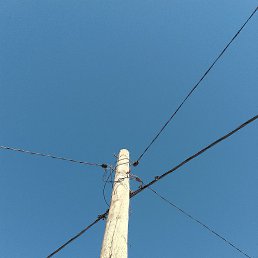 ���� ������� ���������, ������, 41 ��� - ��������� 22 ����� 2024