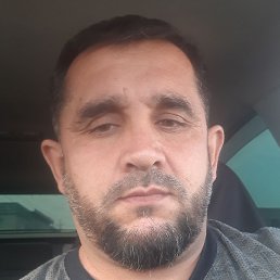 ������, �����-���������, 37 ���