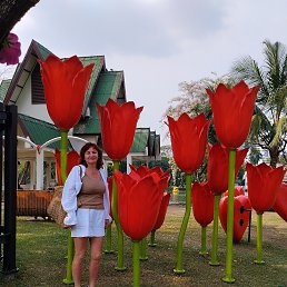 ���� ��������, ����������� - ��������� 21 ������� 2026