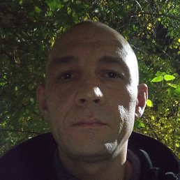 ����, ��������, 41 ���