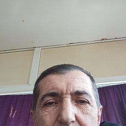 , 51 , 
