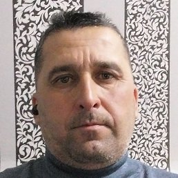 ����, ������, 49 ���