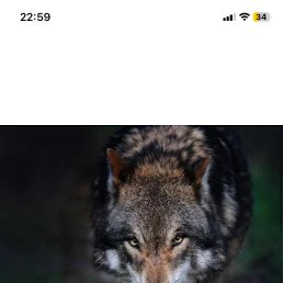 ���� ��, �����������, 57 ��� - ��������� 1 ��� 2026