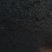 , 57 , 