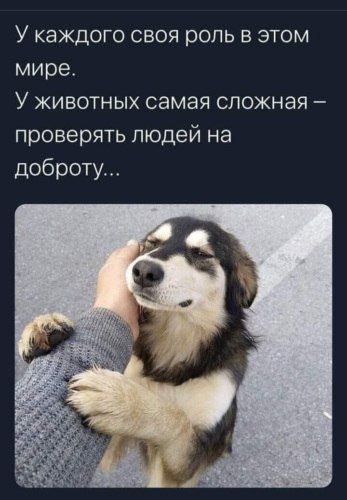  - 20  2025  17:47